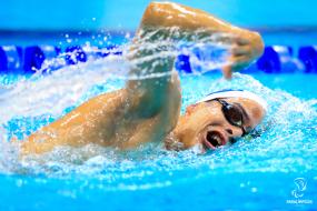 Campeonato do Mundo de Natação 2019