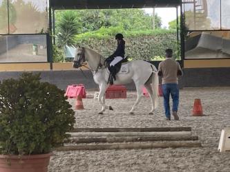 Academia Equestre João Cardiga - Associação