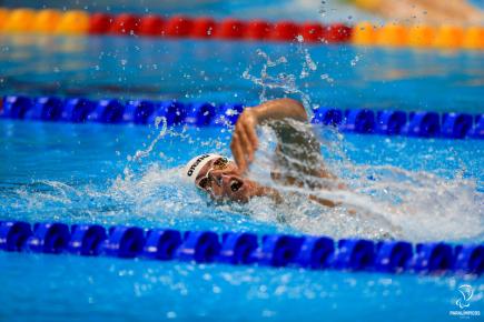 Campeonato do Mundo de Natação 2019