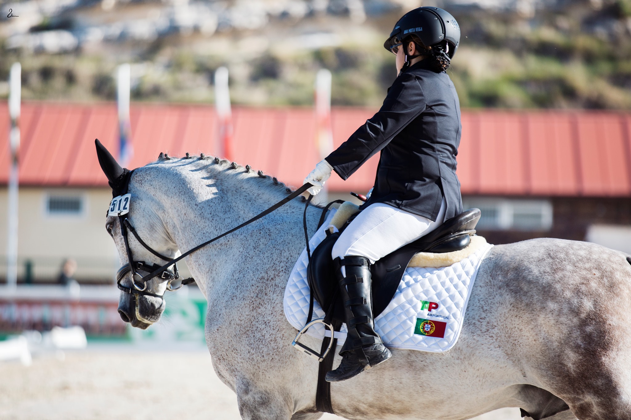 Três cavaleiros portugueses no Campeonato da Europa