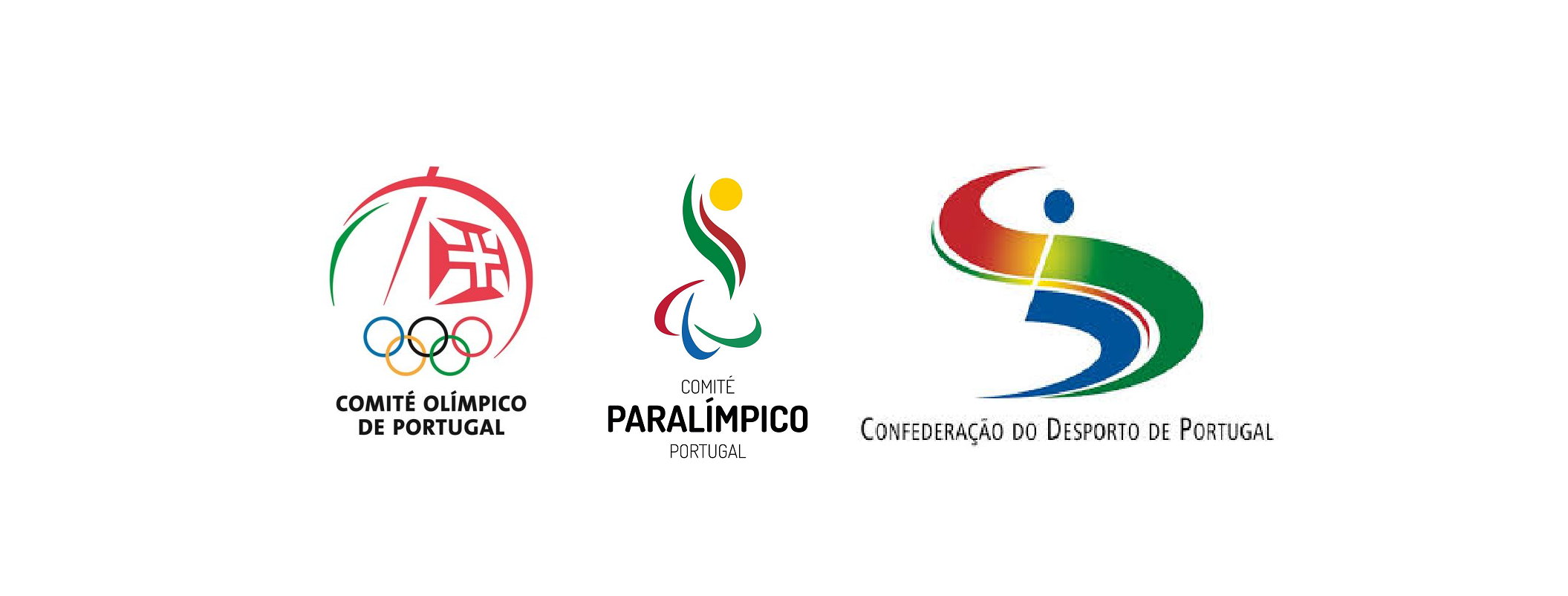 Comité Olímpico Comité Paralímpico e Confederação do Desporto de Portugal ouvidos na Assembleia da República