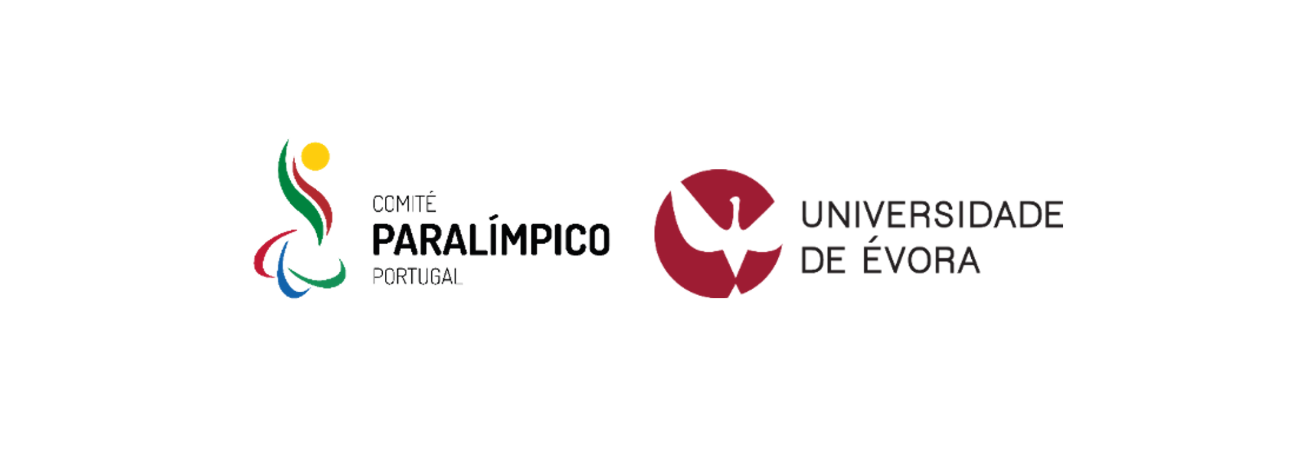 Síntese de resultados do estudo "Percurso desportivo de atletas com deficiência no alto rendimento"
