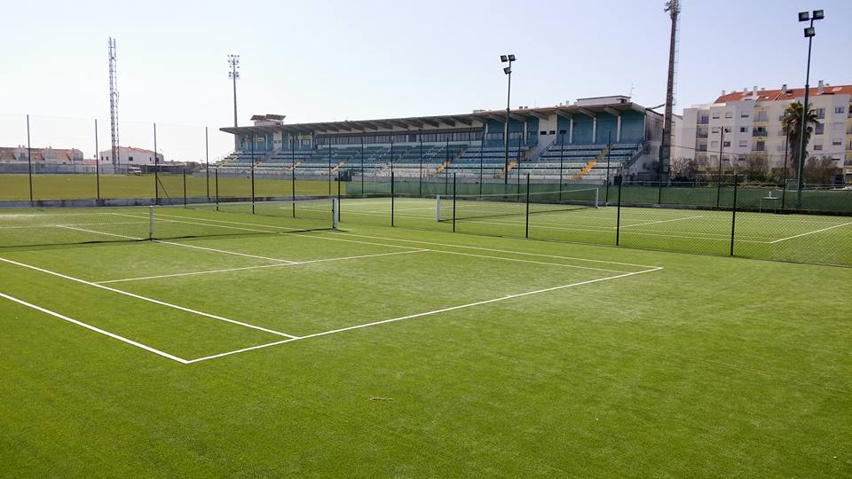 Grupo Desportivo Alcochense