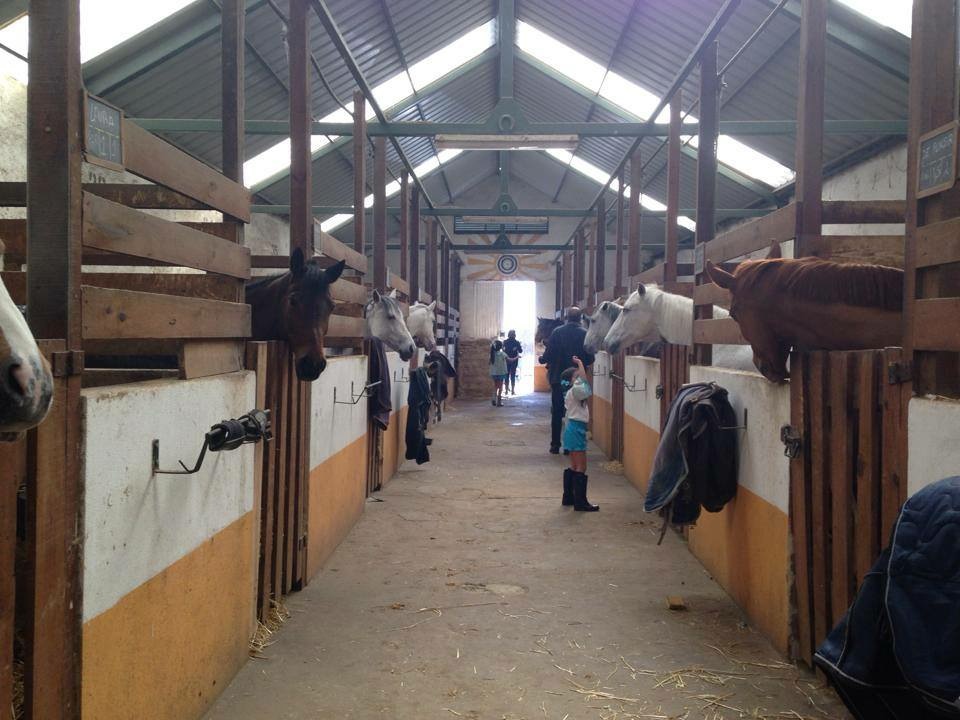 Academia Equestre João Cardiga - Associação