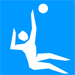 Voleibol Sentado